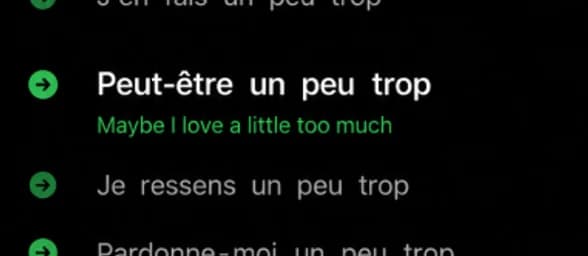 Lyrics with a highlighted line and its translation