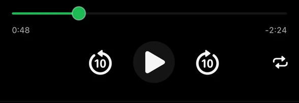 Song player with progress bar and playback controls
